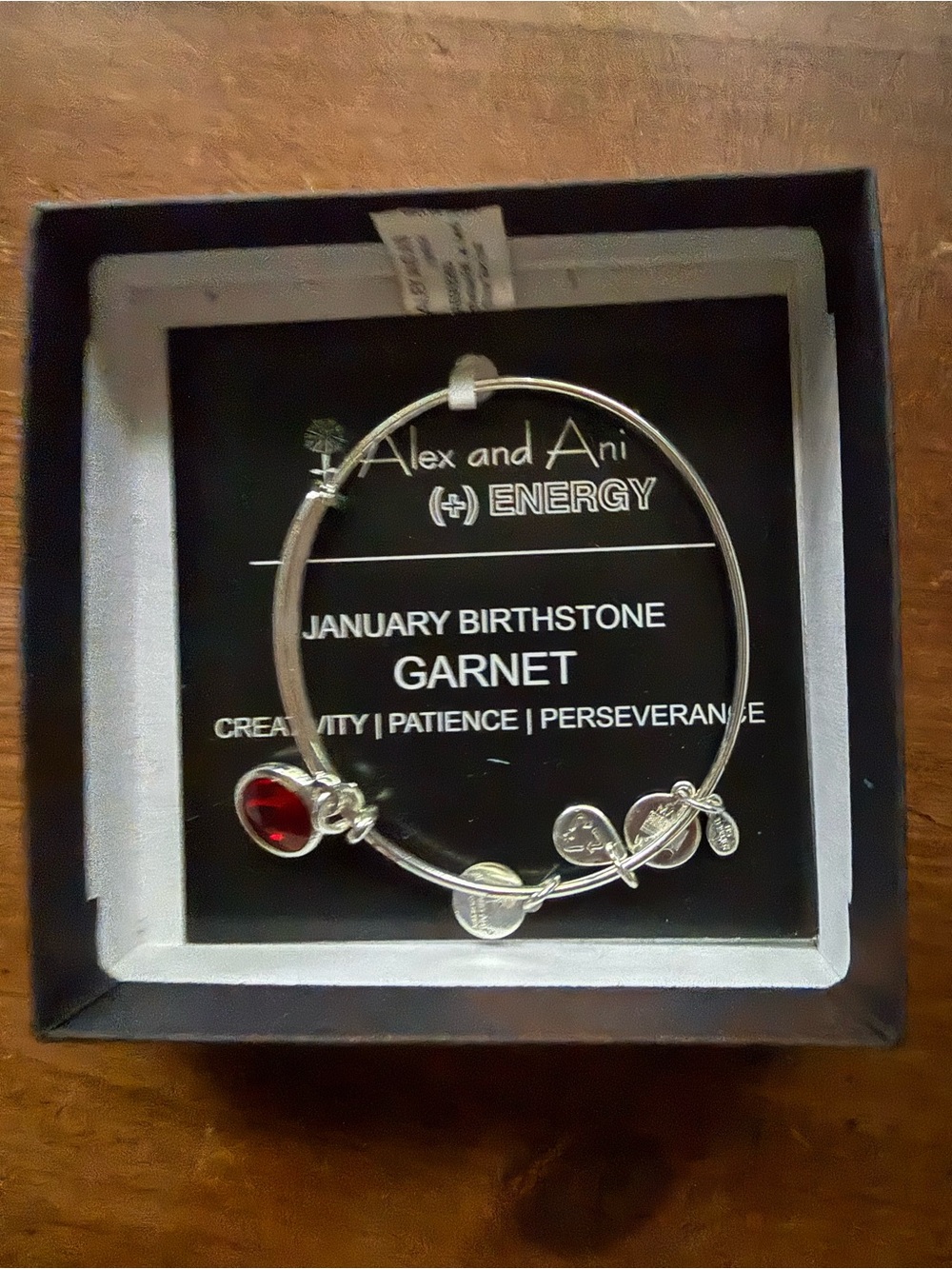 Alex and Ani Silver Bangle with Red Garnet Charm